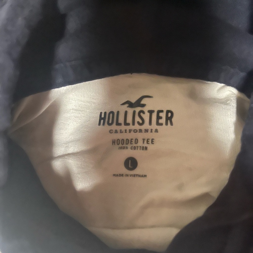 HOLLISTER Large hooded long sleeves